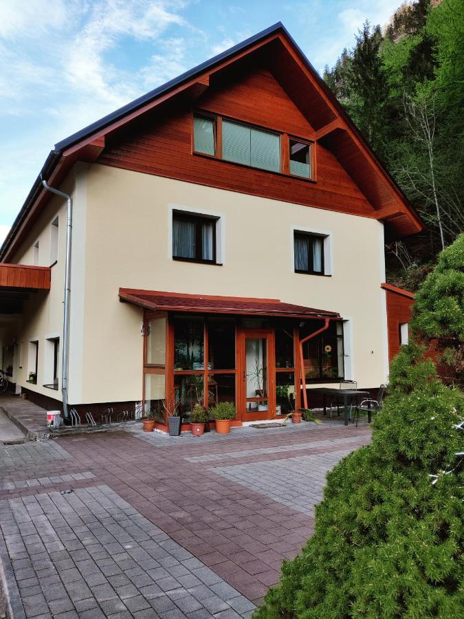 Seeblick Krippenstein Обертраун Екстер'єр фото